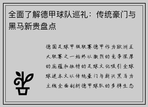 全面了解德甲球队巡礼：传统豪门与黑马新贵盘点